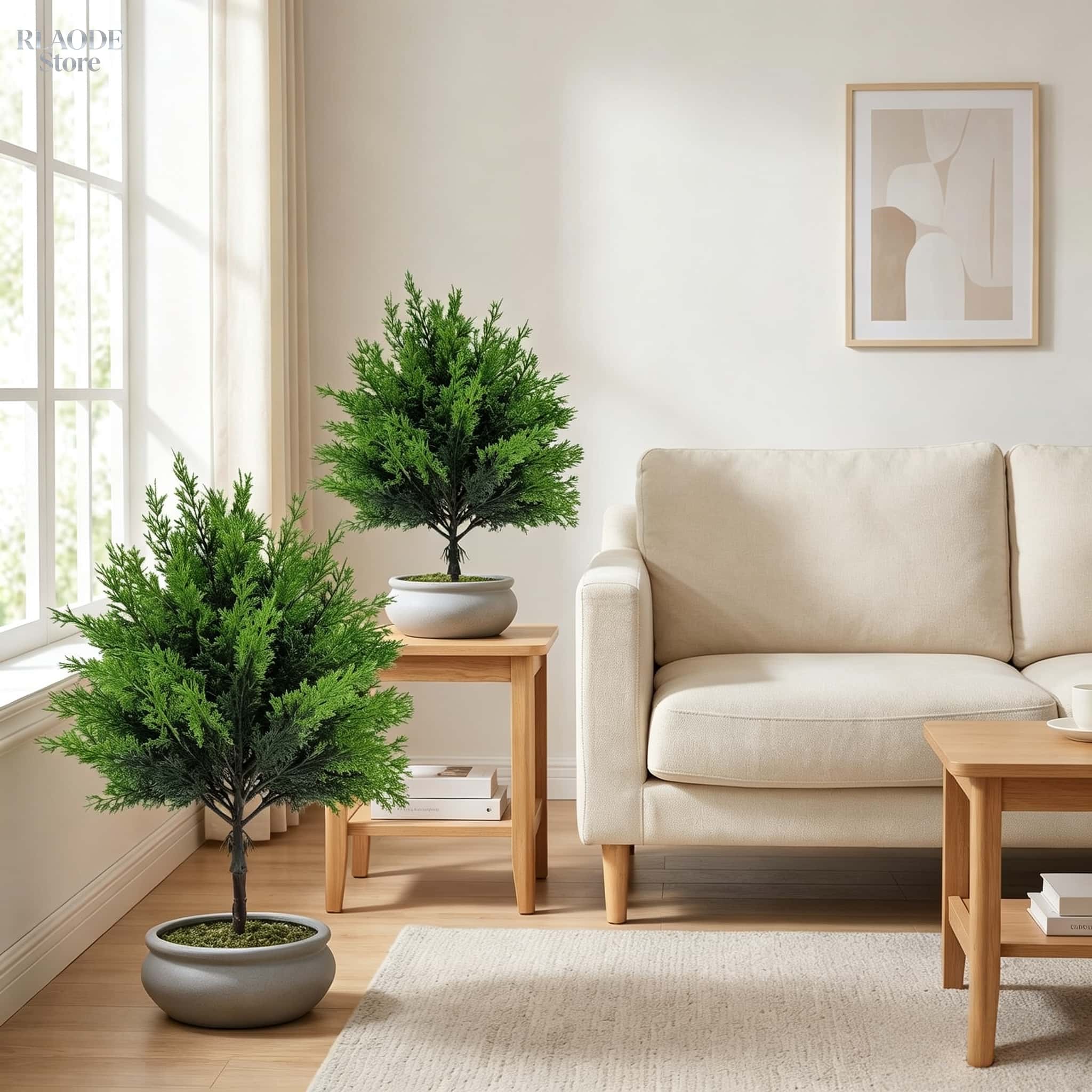 2 stuks kunstmatig groen voor  - Dracaena Marginata recensie en prijs
