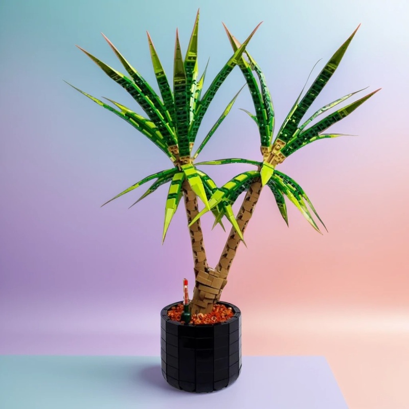 1961 stukjes MOC Dracaena Marg - Dracaena Marginata recensie en prijs