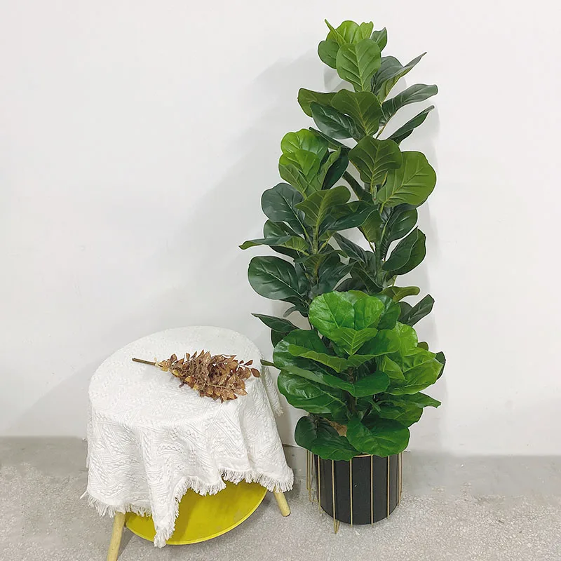 35-150cm Tropische Boom Grote  - Ficus Lyrata Tree recensie en prijs