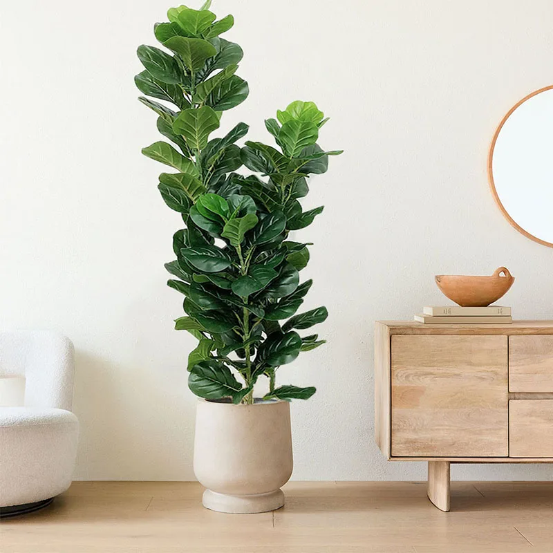 35-150cm Tropische Boom Grote  - Ficus Lyrata Tree recensie en prijs