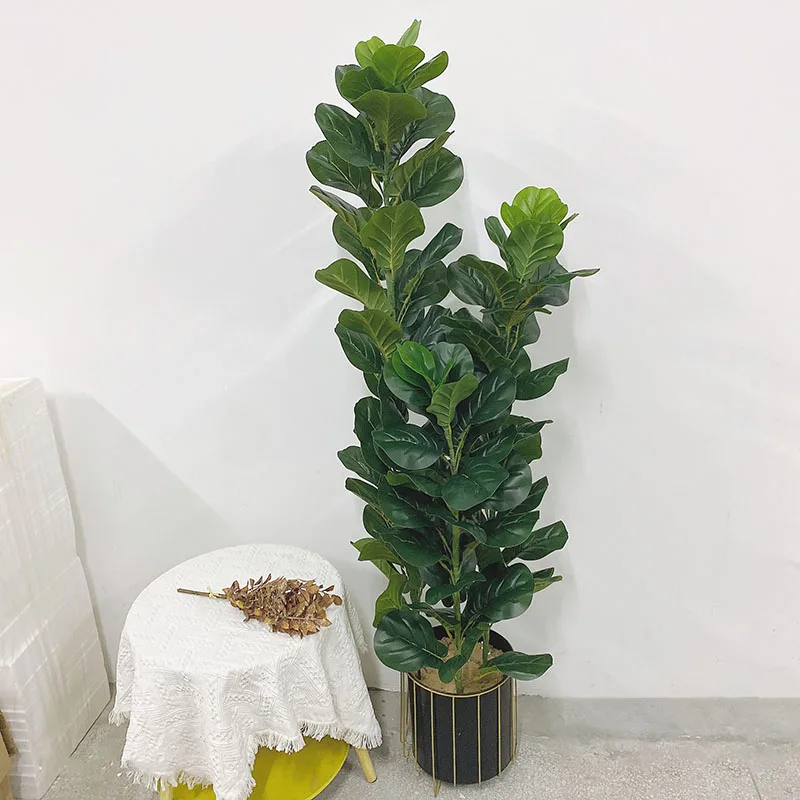 35-150cm Tropische Boom Grote  - Ficus Lyrata Tree recensie en prijs